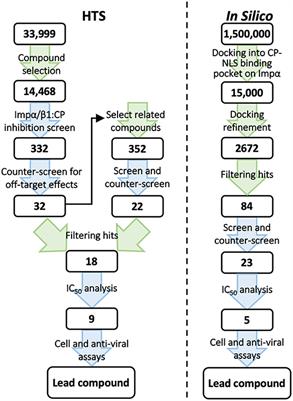 Application of In Silico and HTS Approaches to Identify Nuclear Import Inhibitors for Venezuelan Equine Encephalitis Virus Capsid Protein: A Case Study